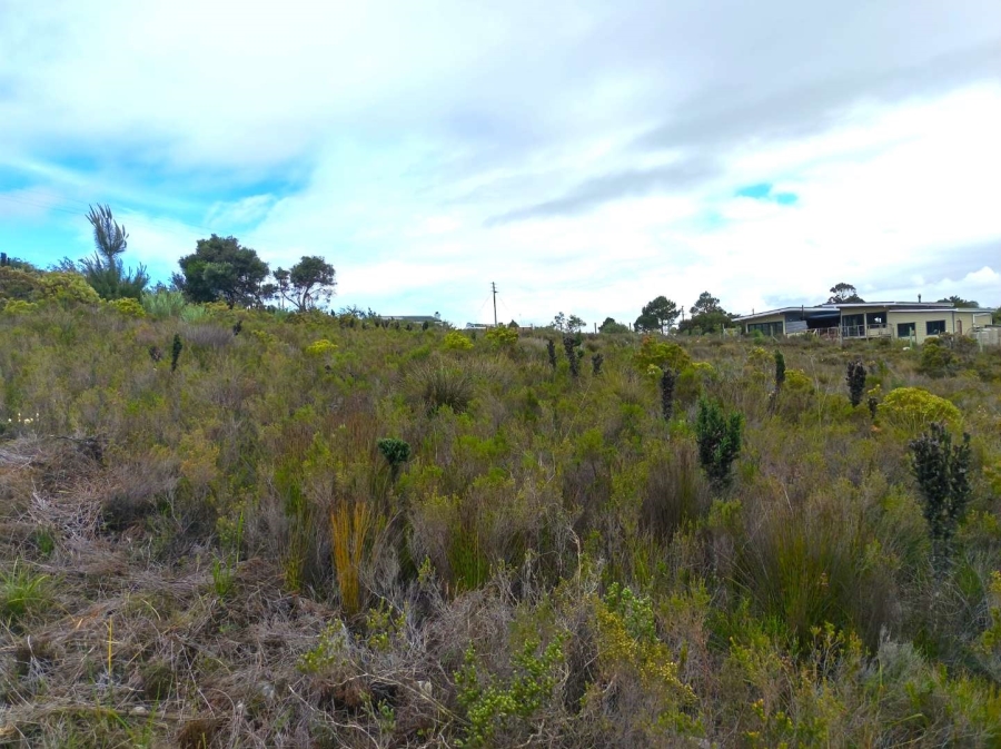 0 Bedroom Property for Sale in Baardskeerdersbos Western Cape